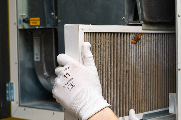 Best Affordable Duct Cleaning Services  in Joanna, SC
