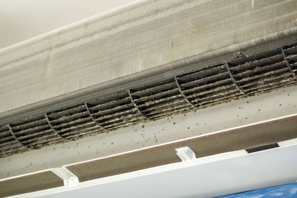 Best HVAC Air Duct Cleaning  in Joanna, SC